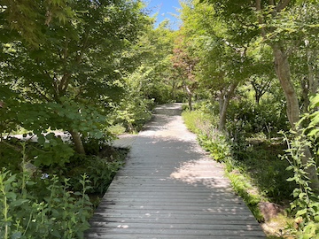 高知県立牧野植物園の風景