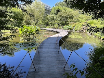 高知県立牧野植物園の風景