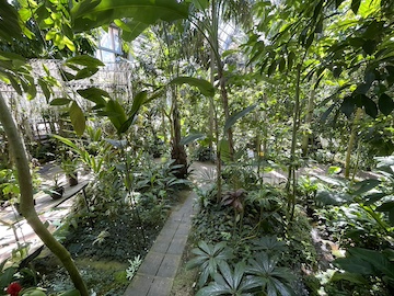 高知県立牧野植物園の風景