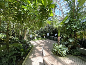 高知県立牧野植物園の風景