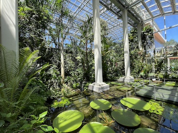 高知県立牧野植物園の風景