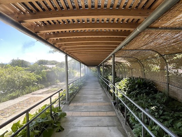 高知県立牧野植物園の風景