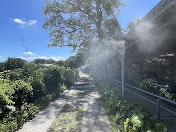 高知県立牧野植物園の風景