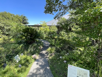 高知県立牧野植物園の風景