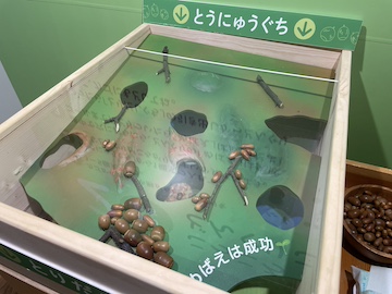 高知県立牧野植物園の風景