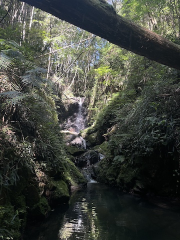 伊尾木洞の風景