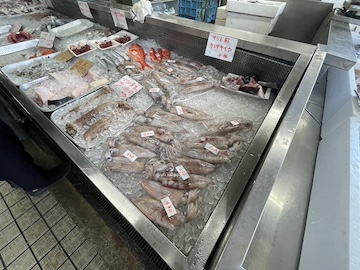 浦戸屋の風景