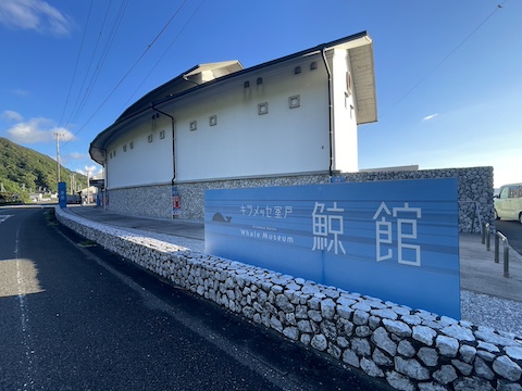 道の駅 キラメッセ室戸の風景