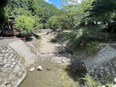 キャンプリゾート森のひとときの風景