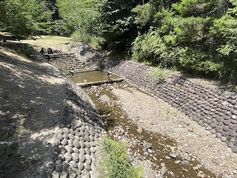 キャンプリゾート森のひとときの風景