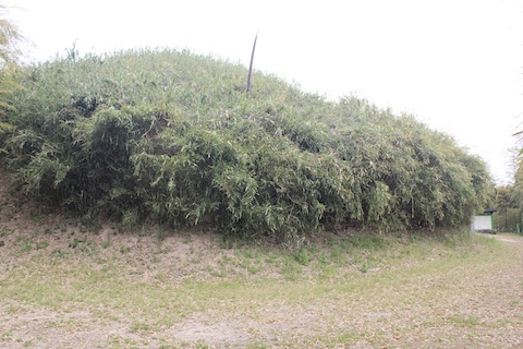 箭田大塚古墳の風景