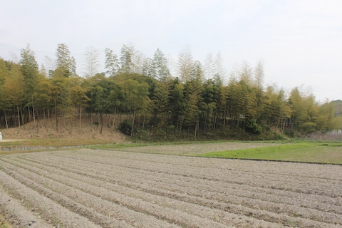 箭田大塚古墳の風景