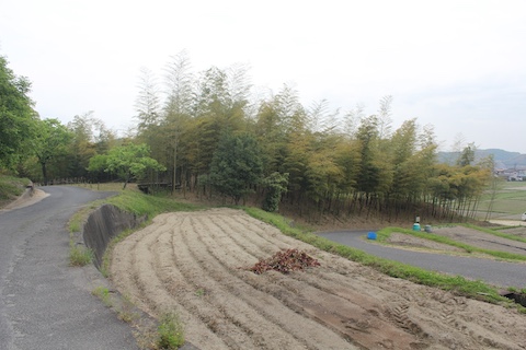 箭田大塚古墳の風景