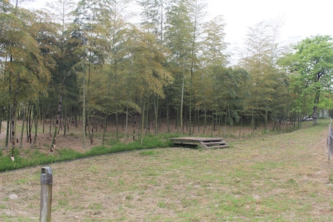 箭田大塚古墳の風景