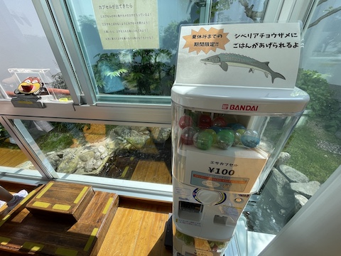 宍道湖自然館ゴビウスの風景