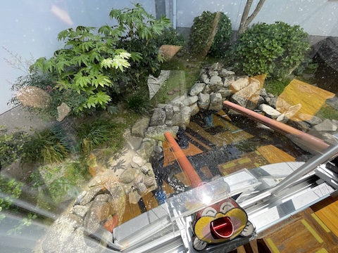 宍道湖自然館ゴビウスの風景