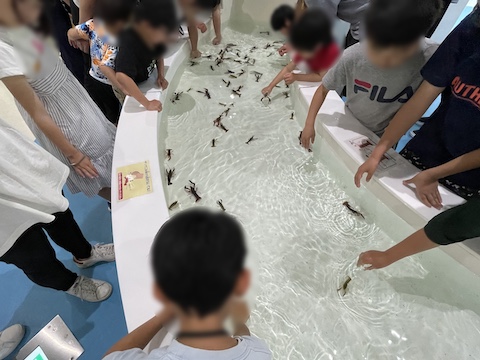 宍道湖自然館ゴビウスの風景