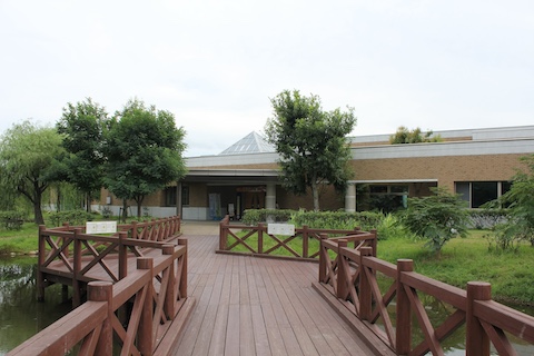 宍道湖自然館ゴビウスの風景
