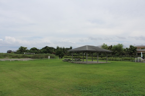 宍道湖自然館ゴビウスの風景