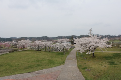 まきばの館の風景