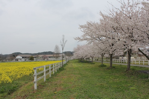 まきばの館の風景