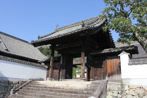 頼久寺庭園の風景