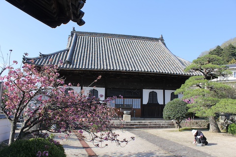 頼久寺庭園の風景
