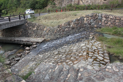 長船美しい森の風景