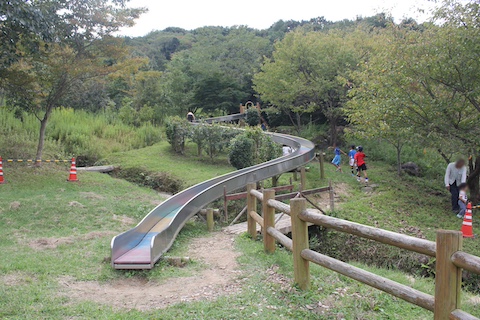 長船美しい森の風景