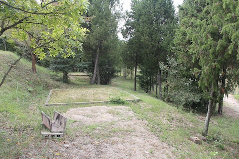 長船美しい森の風景