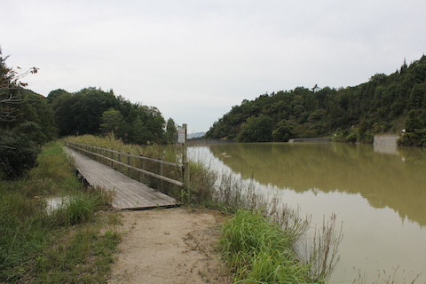 長船美しい森の風景