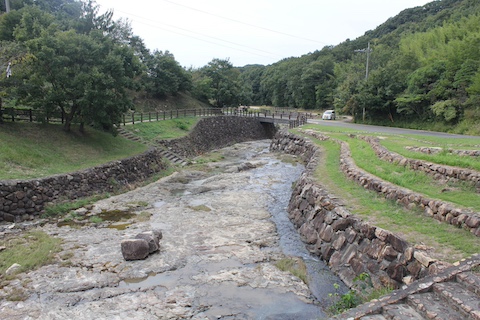 長船美しい森の風景