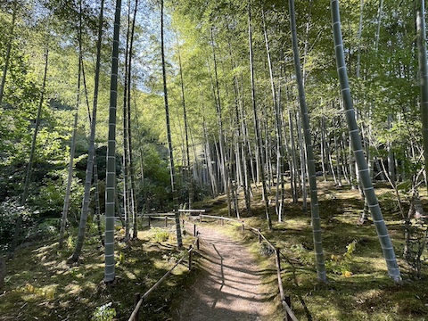常寂光寺の風景